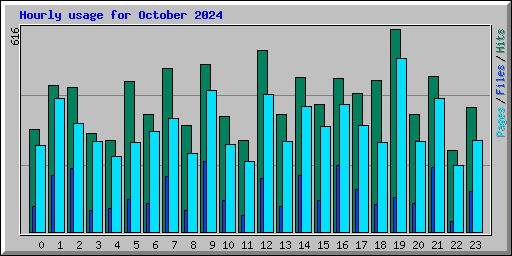 Hourly usage for October 2024