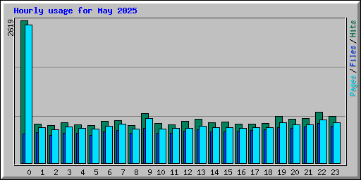 Hourly usage for May 2025