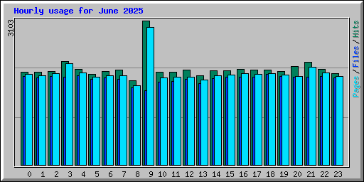 Hourly usage for June 2025