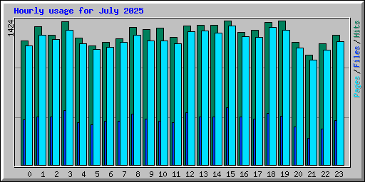 Hourly usage for July 2025