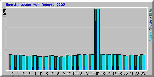 Hourly usage for August 2025