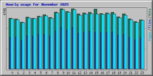 Hourly usage for November 2025