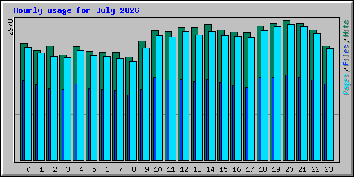 Hourly usage for July 2026